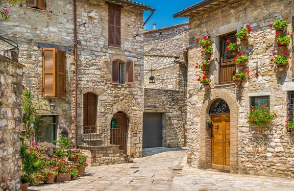 Uma Vista Pitoresca Assis Província Perugia Umbria Itália Central — Fotografia de Stock