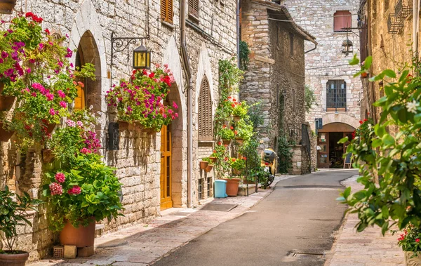 Una Vista Pintoresca Asís Provincia Perugia Umbría Italia Central — Foto de Stock