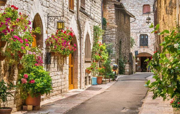 Assisi'de pitoresk bir manzara. Perugia eyaleti, Umbria, orta İtalya.
