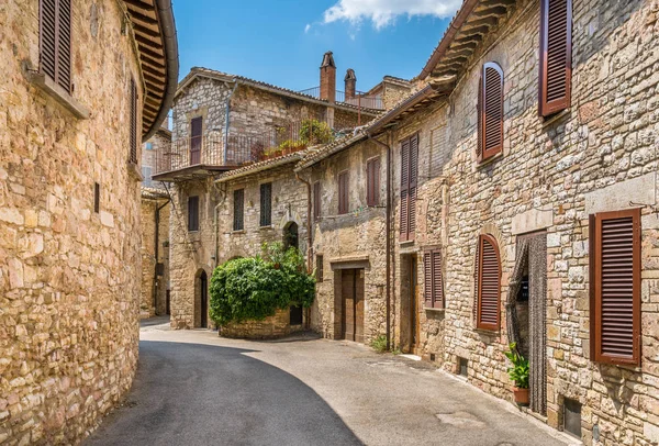 Una Vista Pintoresca Asís Provincia Perugia Umbría Italia Central — Foto de Stock