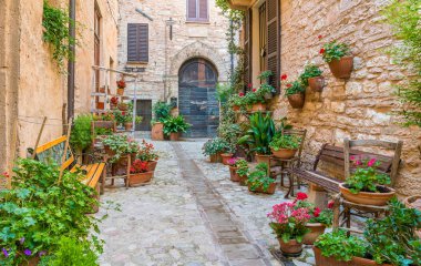 Spello'da manzara, Umbria'daki çiçekli ve pitoresk köy, Perugia eyaleti, İtalya.