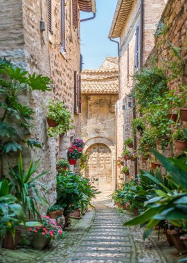 Spello'da manzara, Umbria'daki çiçekli ve pitoresk köy, Perugia eyaleti, İtalya.