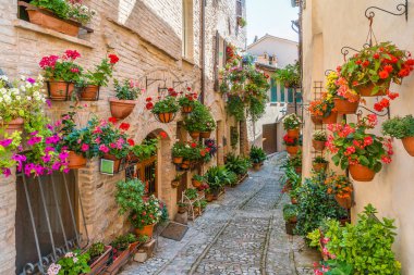 Spello'da manzara, Umbria'daki çiçekli ve pitoresk köy, Perugia eyaleti, İtalya.
