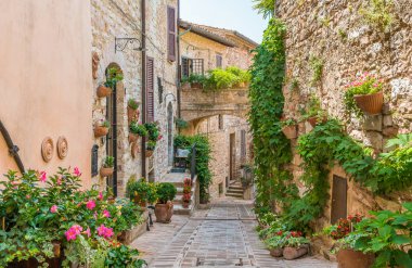 Spello'da manzara, Umbria'daki çiçekli ve pitoresk köy, Perugia eyaleti, İtalya.