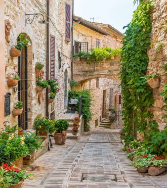 Spello'da manzara, Umbria'daki çiçekli ve pitoresk köy, Perugia eyaleti, İtalya.