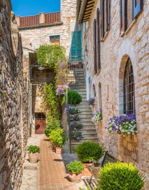Spello'da manzara, Umbria'daki çiçekli ve pitoresk köy, Perugia eyaleti, İtalya.