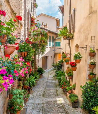 Spello'da manzara, Umbria'daki çiçekli ve pitoresk köy, Perugia eyaleti, İtalya.