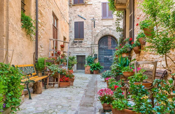 Vista Panoramica Spello Fiorito Pittoresco Borgo Umbria Provincia Perugia Italia — Foto Stock