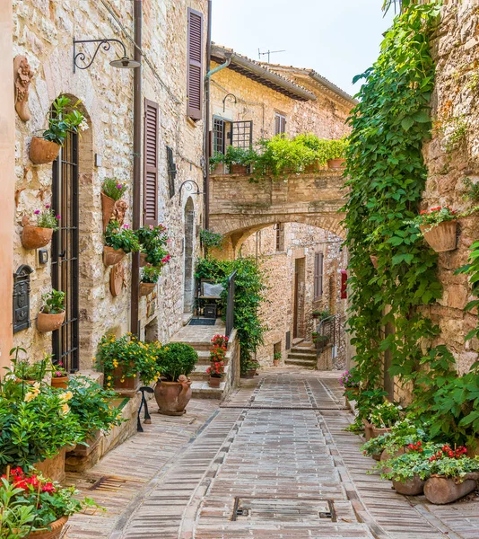 Festői Látvány Spello Virágos Festői Faluban Umbria Perugia Tartomány Olaszország — Stock Fotó