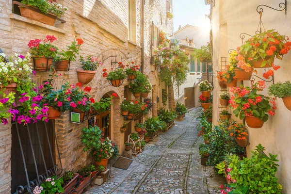 Vyhlídkový Pohled Spello Květnaté Malebné Městečko Umbrii Provincii Perugia Itálie — Stock fotografie