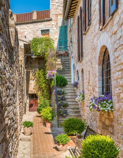Scenic Sight Spello Flowery Picturesque Village Umbria Province Perugia Italy — Stock Photo, Image