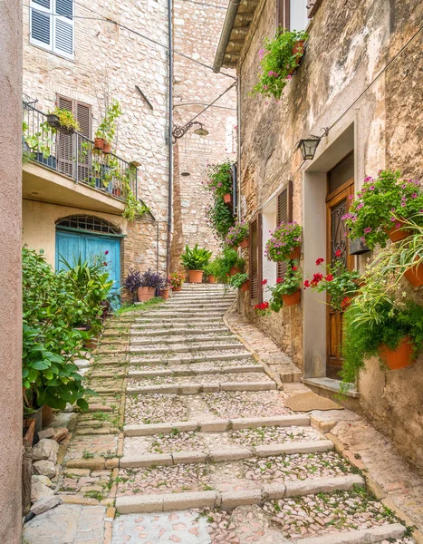 İtalya'nın Umbria bölgesindeki antik köy Trevi'de pitoresk manzara. 