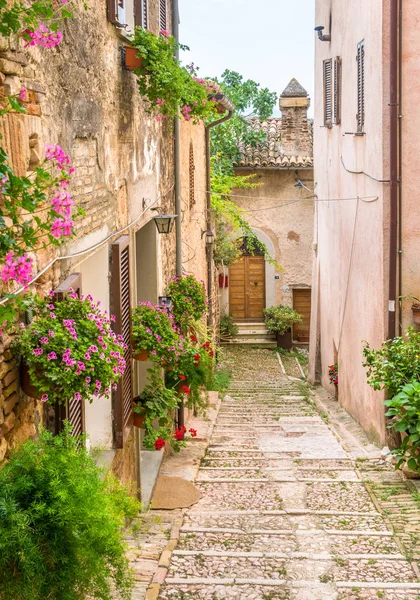 Veduta Pittoresca Trevi Antico Borgo Dell Umbria — Foto Stock