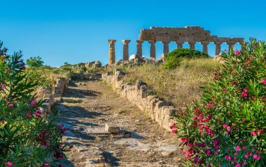 Selinunte harabeleri, arkeolojik sit alanı ve Sicilya antik Yunan kenti, İtalya.