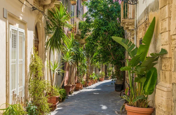 Eine Enge Und Malerische Straße Ortigia Siracusa Altstadt Sizilien Süditalien — Stockfoto