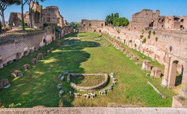 Roma Forumu'ndaki Palatine Stadyumu. Roma, İtalya.
