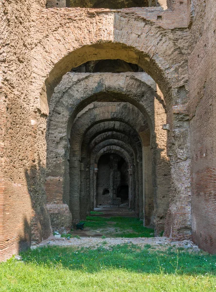 Λεπτομέρεια Στο Φόρουμ Παλατινών Στη Ρώμη Ιταλία — Φωτογραφία Αρχείου