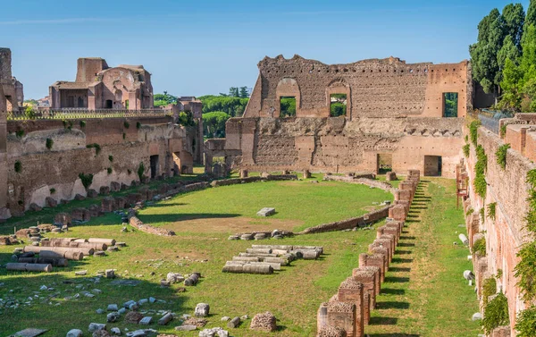 Palatine Stadium Roman Forum Rome Italy — Stock Photo, Image