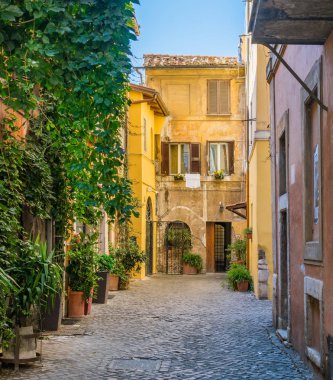Resimli Rione Trastevere bir yaz sabahı, İtalya, Roma 'da.