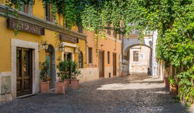 Resimli Rione Trastevere bir yaz sabahı, İtalya, Roma 'da.