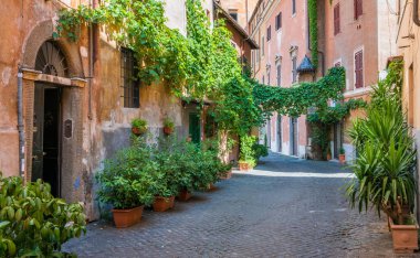 Resimli Rione Trastevere bir yaz sabahı, İtalya, Roma 'da.