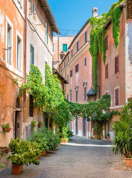 Resimli Rione Trastevere Bir Yaz Sabahı Talya Roma — Stok fotoğraf