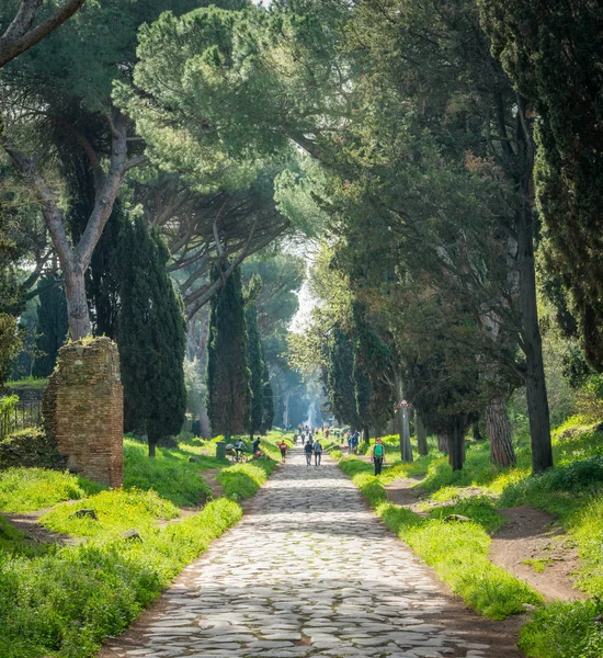 Starověká Appijská Cesta Appia Antica Slunečného Jarního Rána Římě — Stock fotografie