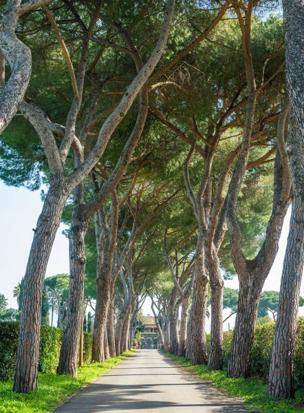 Starożytna Appian Way Appia Antica Słoneczny Wiosenny Poranek Rzymie — Zdjęcie stockowe
