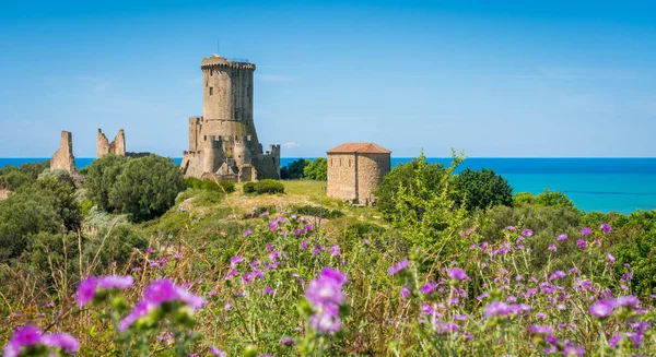 Arka Planda Deniz Ile Velia Antik Kenti Kalıntıları Ascea Yakın — Stok fotoğraf