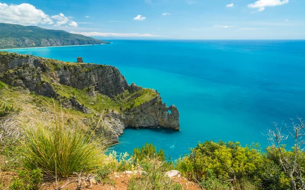 Vyhlídkové Mořské Útesy Skalami Palinuro Cilento Campania Jižní Itálii — Stock fotografie