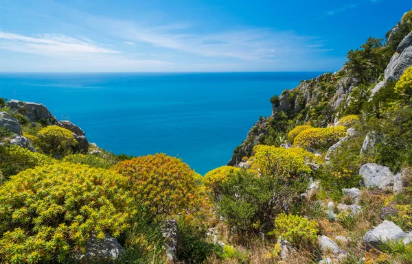 Malerische Mediterrane Meereslandschaft Mit Klippen Bei Palinuro Cilento Kampanien Süditalien — Stockfoto