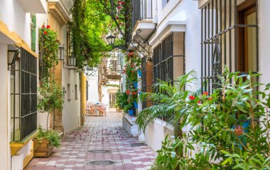 Marbella eski şehir pitoresk görme, Malaga eyaleti, İspanya.