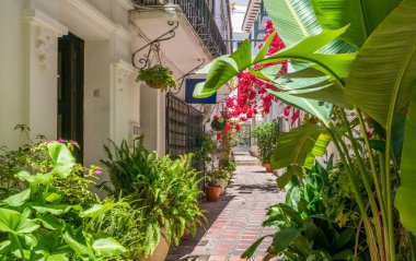 Marbella eski şehir pitoresk görme, Malaga eyaleti, İspanya.