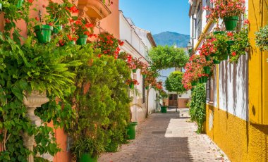 The beautiful Estepona, little town in the province of Malaga, Spain. clipart