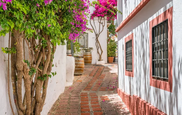 Marbella old town Stock Photos, Royalty Free Marbella old town Images ...