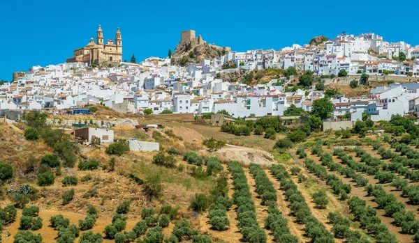Malowniczy Widok Olvera Prowincja Kadyks Andaluzja Południowa Hiszpania — Zdjęcie stockowe