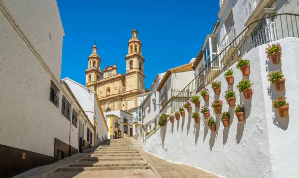 Espectáculos Olvera Provincia Cádiz Andalucía España —  Fotos de Stock