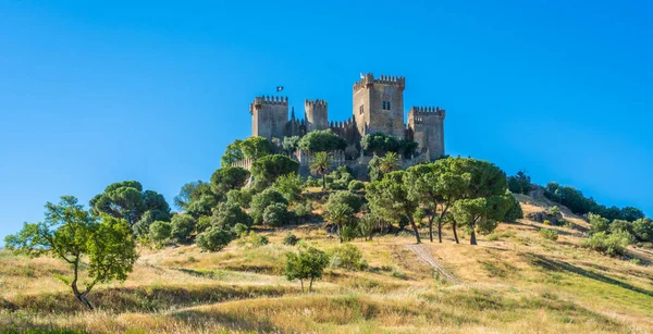 Almodovar Del Rio Kalesi Cordoba Eyaletinde Endülüs Spanya — Stok fotoğraf