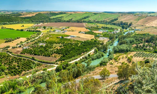 Natursköna Sikte Arcos Frontera Provinsen Cadiz Andalusien Spanien — Stockfoto