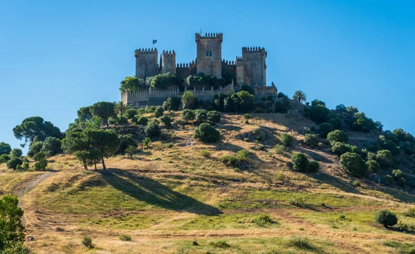 Castillo Almodovar Del Río Provincia Córdoba Andalucía España — Foto de Stock
