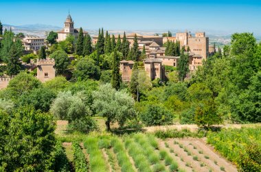 Bir yaz sabahı Alhambra sarayı ile Granada Panoramik manzara. Endülüs, İspanya.