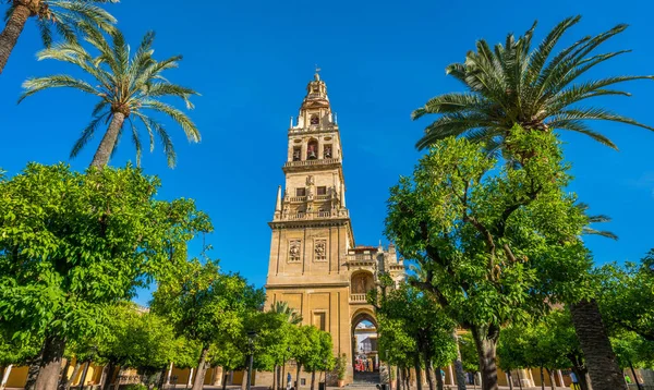 Klokkentoren Van Moskee Kathedraal Van Cordoba Een Zonnige Ochtend Andalusië — Stockfoto