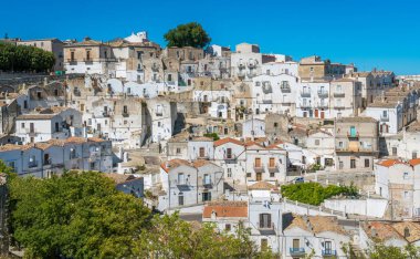 Monte Sant'Angelo'da manzara, Foggia eyaletinin antik köyü, Apulia (Puglia), İtalya.