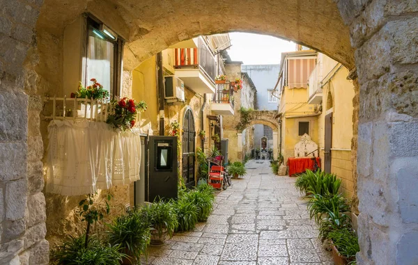 Scenic Sight Old Town Bari Puglia Apulia Southern Italy — Stock Photo, Image