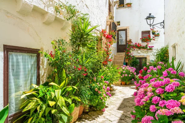 Malebná Podívaná Locorotondo Provincie Bari Apulia Puglia Jižní Itálie — Stock fotografie