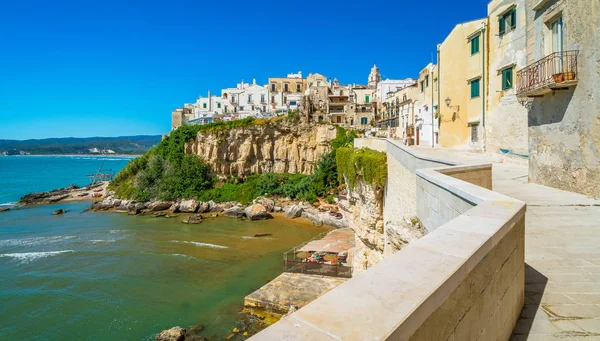 Die Schöne Aussicht Einem Sonnigen Sommertag Gargano Apulien Apulien Süditalien — Stockfoto