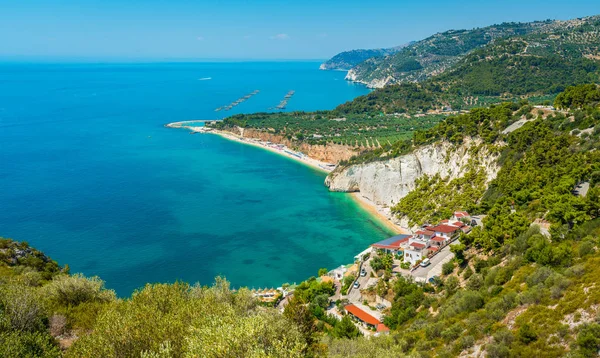 Panoramische Aanblik Van Prachtige Kustlijn Van Gargano Apulië Puglia Italië — Stockfoto