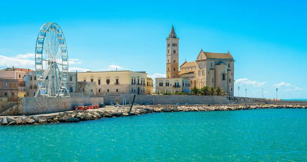Trani Vízpartra Gyönyörű Katedrális Barletta Andria Trani Apulia Puglia Tartomány — Stock Fotó