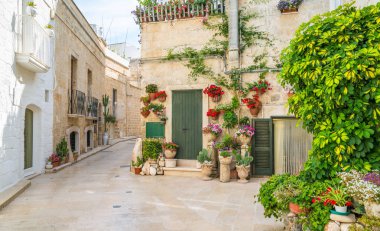 Monopoli'de manzara, Bari Eyaleti, Puglia (Apulia), Güney İtalya.