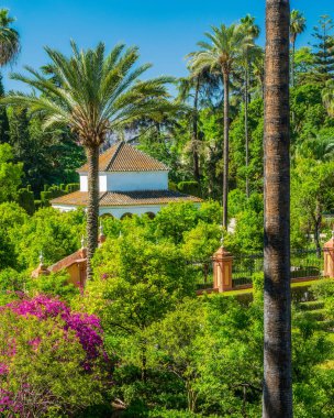 Sevilla Kraliyet Alczars pastoral bahçe, Endülüs, İspanya. Haziran-05-2019